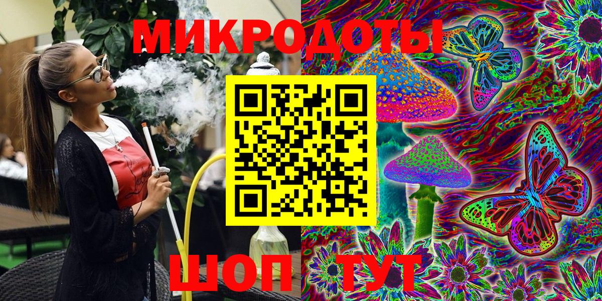 Галлюциногенные грибы Psilocybe  Вход с VPN  Лесной 